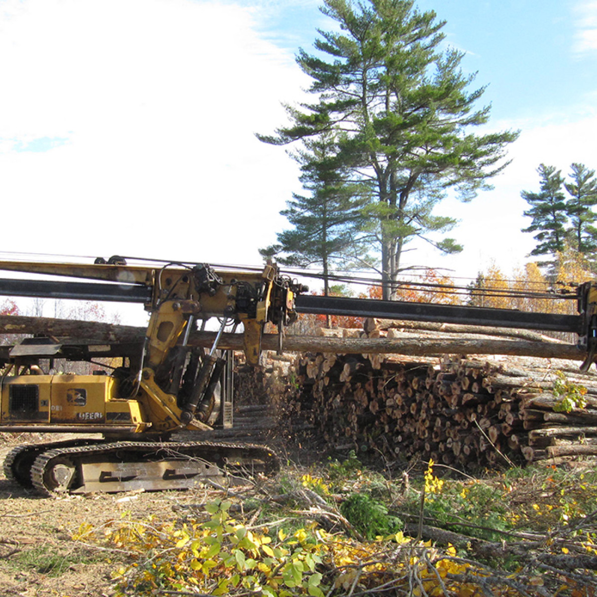 Timber Harvesting Forest Management Maine Logging Timber Harvesting and 