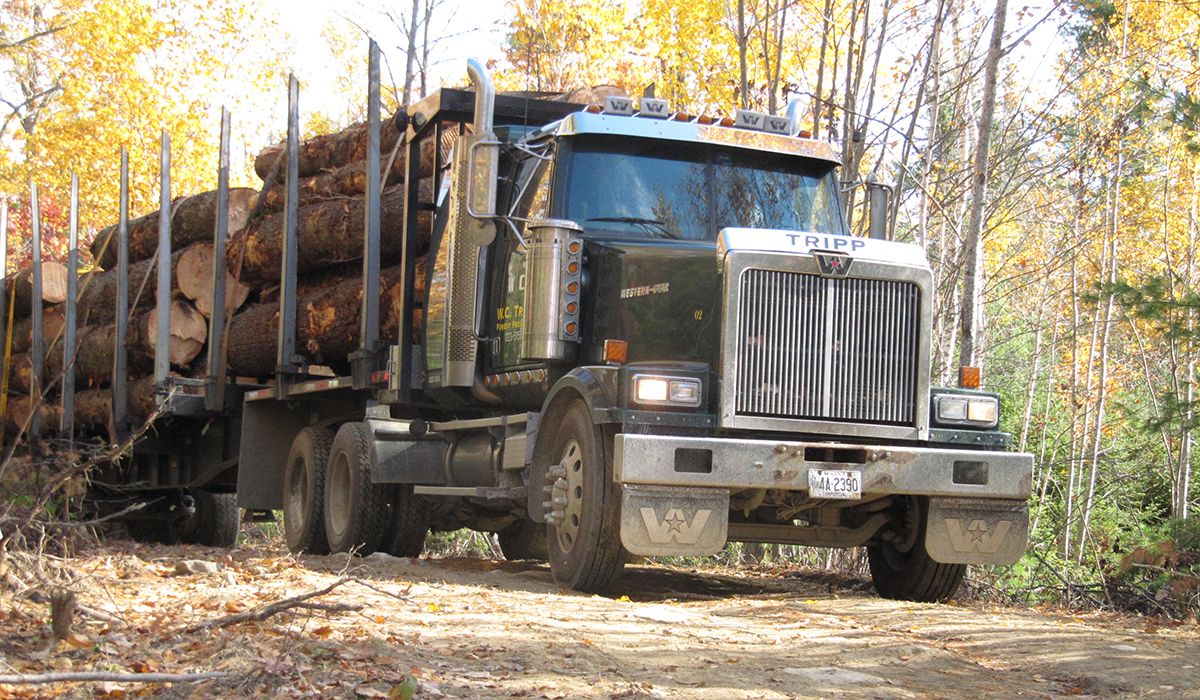 Log Truck