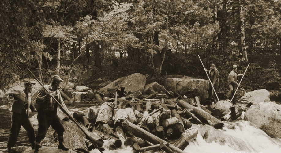 1800 s logging photos