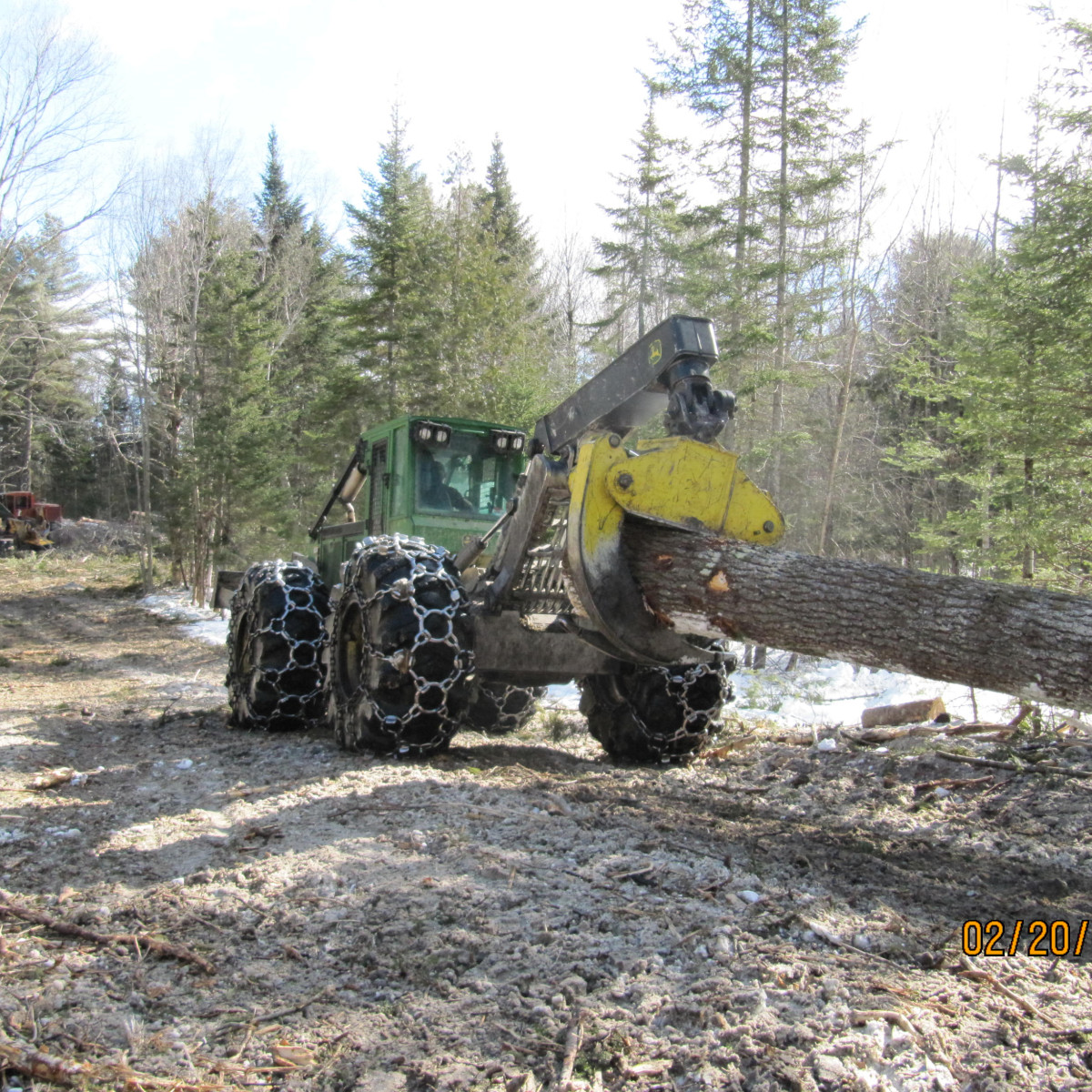 Gallery | Maine Logging, Timber Harvesting, and Forest Management