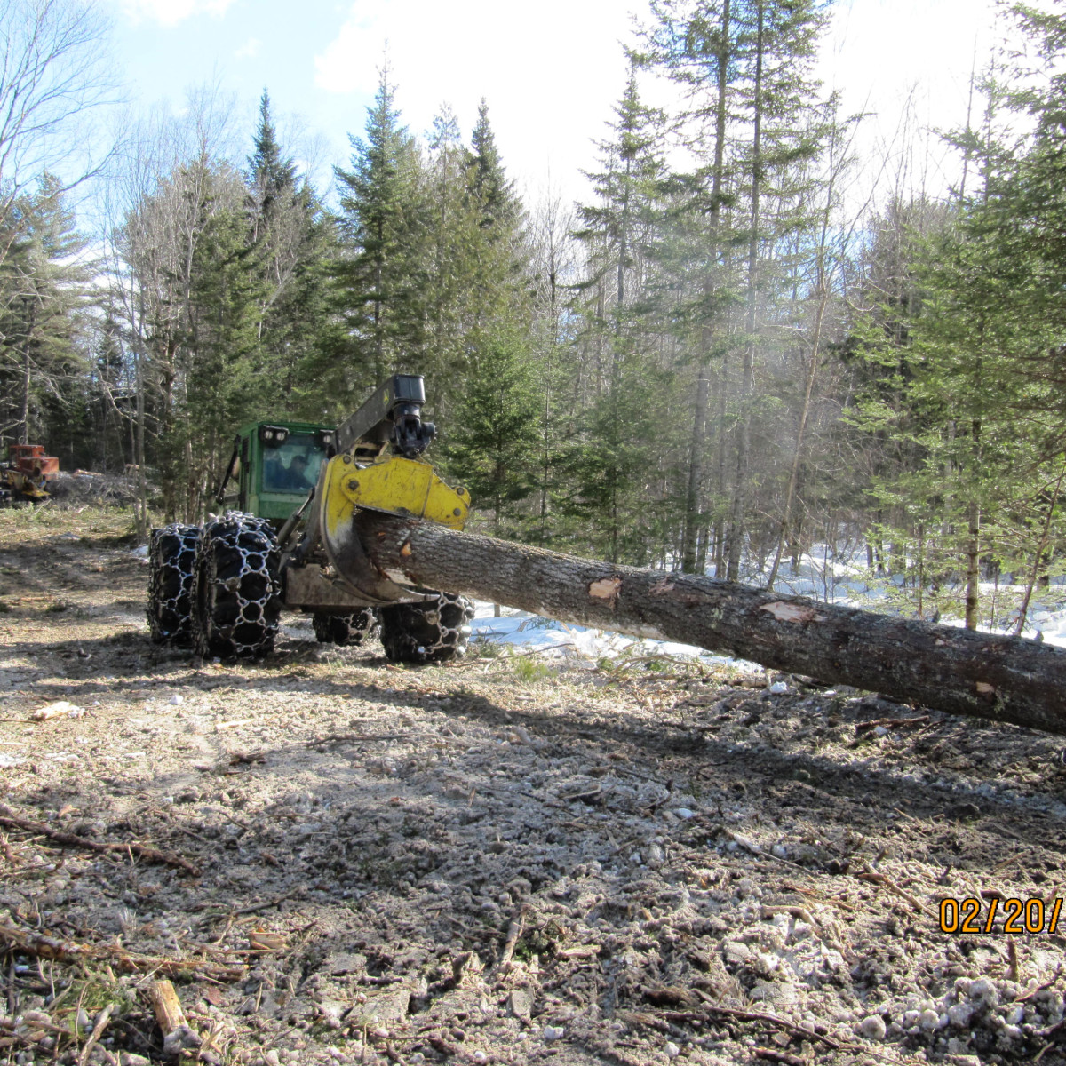 Gallery | Maine Logging, Timber Harvesting, and Forest Management