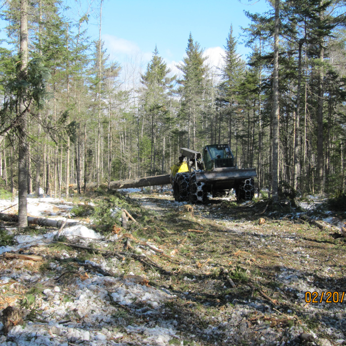 Grapple Skidder | Gallery | Maine Logging, Timber Harvesting, and ...