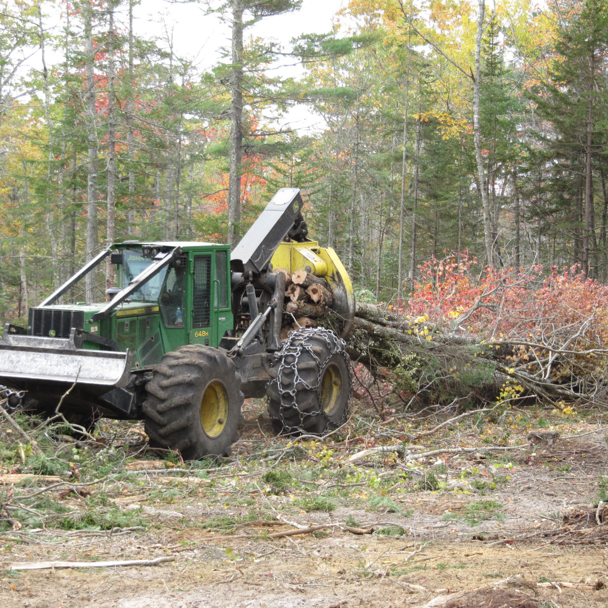 Gallery | Maine Logging, Timber Harvesting, and Forest Management